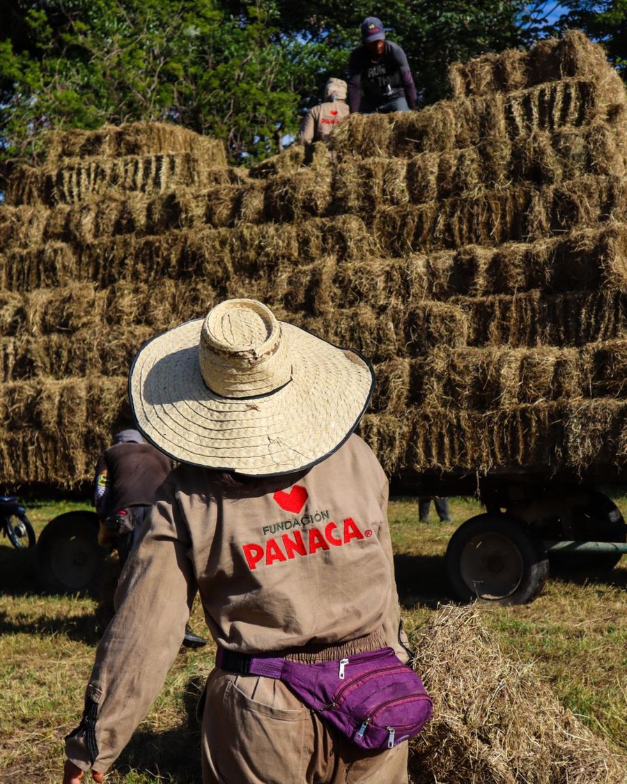 La ADR, la FAO y Fundapanaca graduaron 50 productores en fortalecimiento asociativo